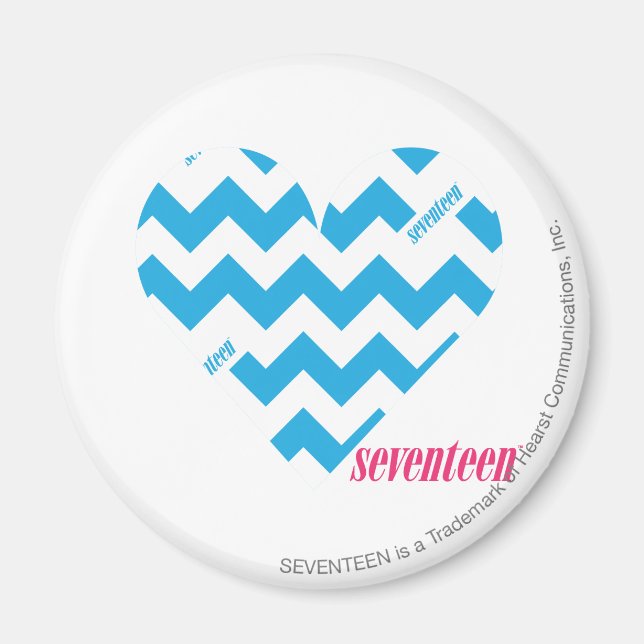 ZigZag Aqua 4 Magnet (Front)