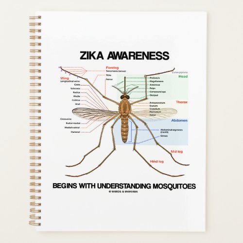 Zika Awareness Begins Understanding Mosquitoes Planner
