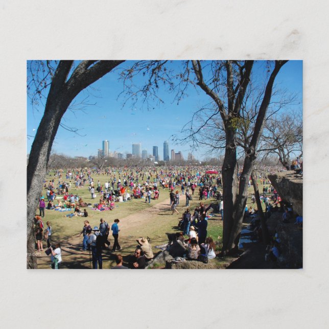 Zilker Park Kite Festival 2 - Austin Texas Postcard (Front)