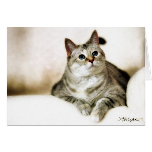 Zilla in Brown Tones Cards (Front Horizontal)