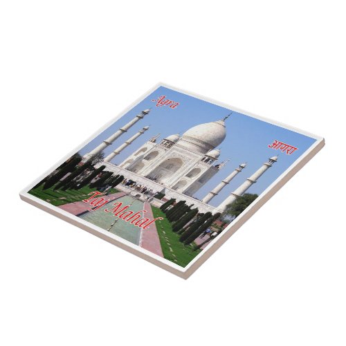 zIN032 AGRA TAJ MAHAL India Asia Ceramic Tile