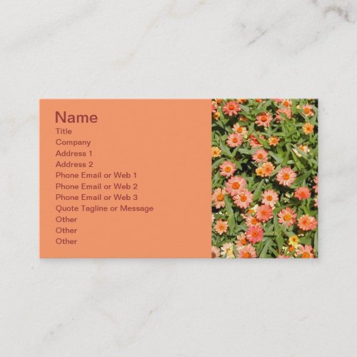 Zinnia Business Card