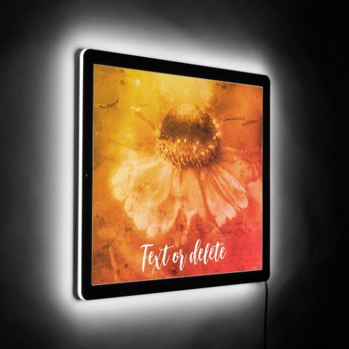 Zinnia Daisy Flower Sepia Vintage Personalized LED Sign