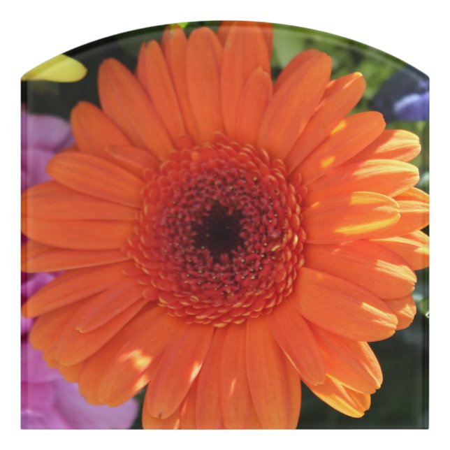 Zinnia Door Sign (Contour Front)
