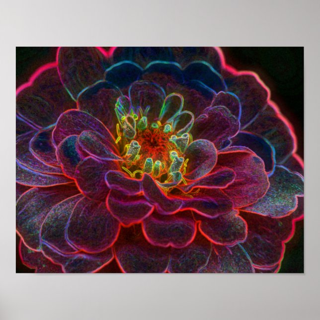 Zinnia Fantasy Abstract Flower Art Poster (Front)