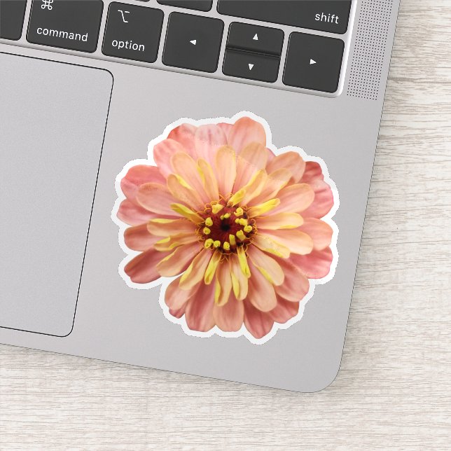 Zinnia Floral Flower Nature Photography Sticker (Detail)