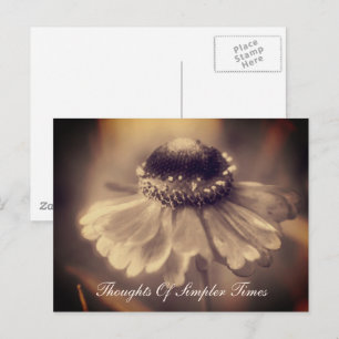 Zinnia Flower Simpler Times Inspirational Postcard