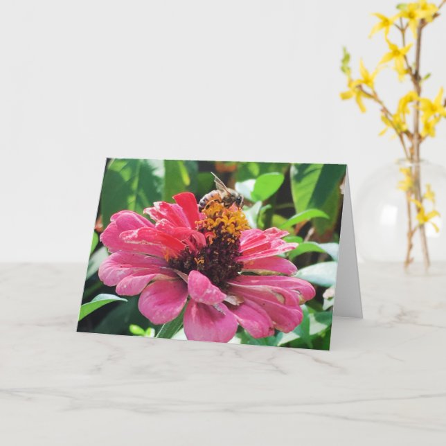 Zinnia Honey Bee Card (Yellow Flower)