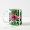 Zinnia Honey Bee
