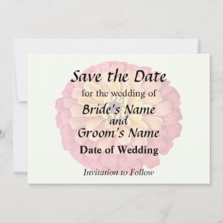 Zinnia in Shades of Orange Save The Date
