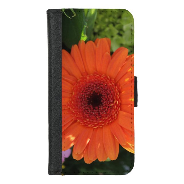 Zinnia iPhone Wallet Case (Front)