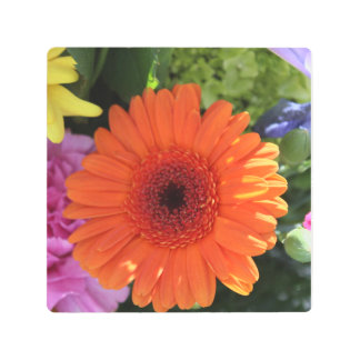 Zinnia Metal Print