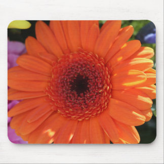 Zinnia Mouse Pad