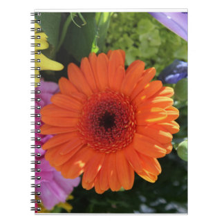 Zinnia Notebook