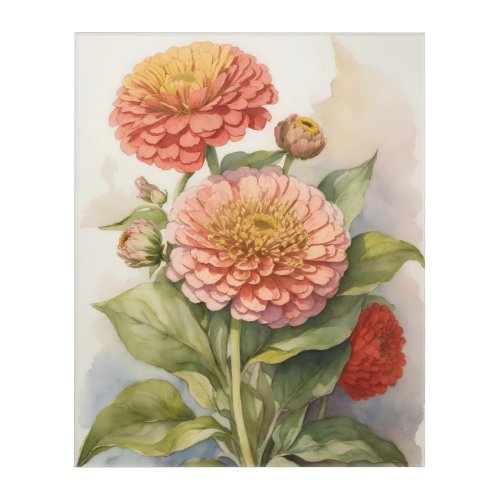 Zinnia Radiance Acrylic Print