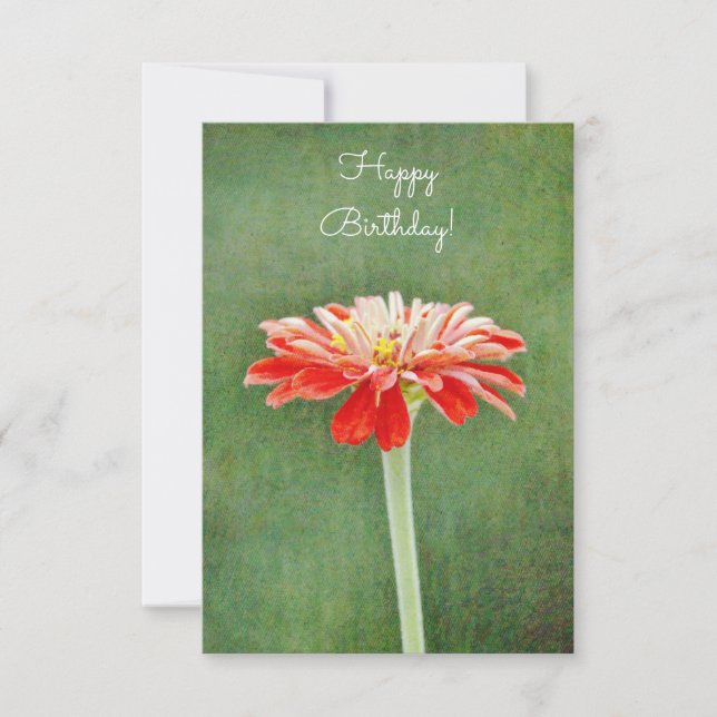 Zinnia Red Flower Artsy Flat Birthday Card (Front)