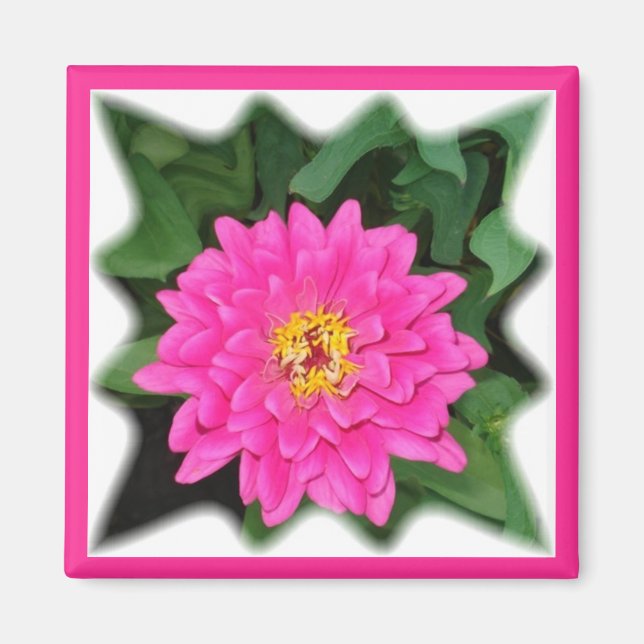 zinnia star1 magnet (Front)