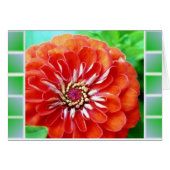 Zinnia Tiles (Front Horizontal)
