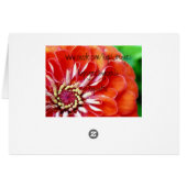 Zinnia Tiles Cards (Back Horizontal)
