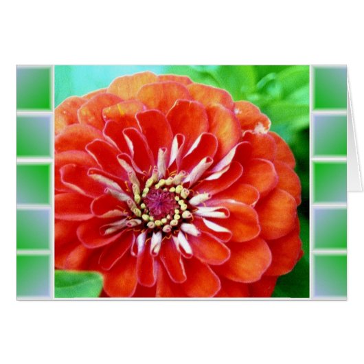 Zinnia Tiles Cards (Front Horizontal)
