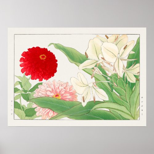 Zinnia  White Ginger Lily Flower Tanigami Konan Poster