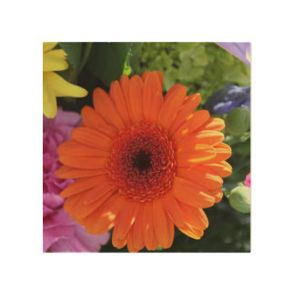Zinnia Wood Wall Art