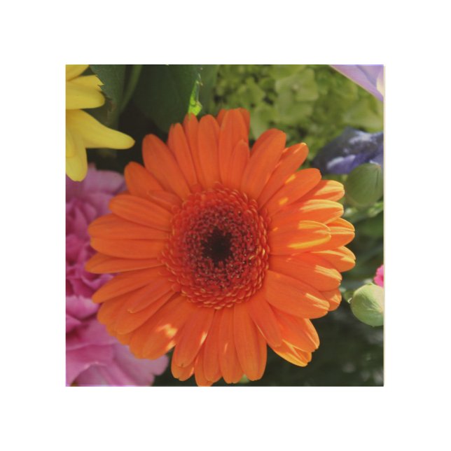 Zinnia Wood Wall Art (Front)