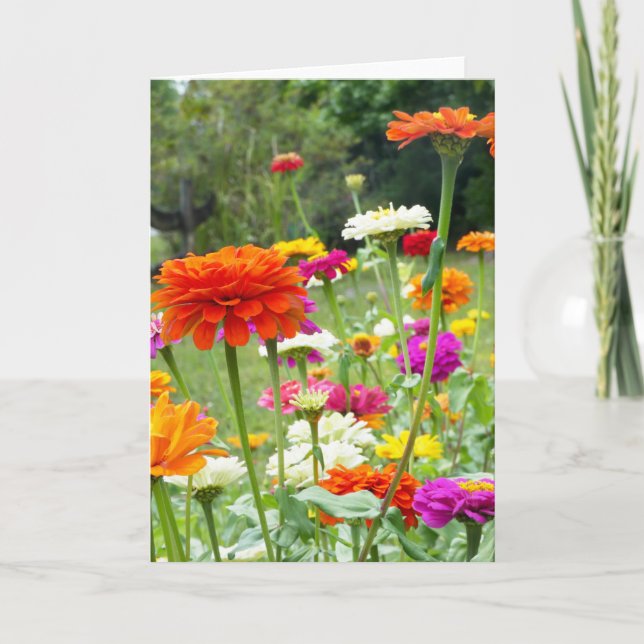 "Zinnias 2." Greeting Card (Front)