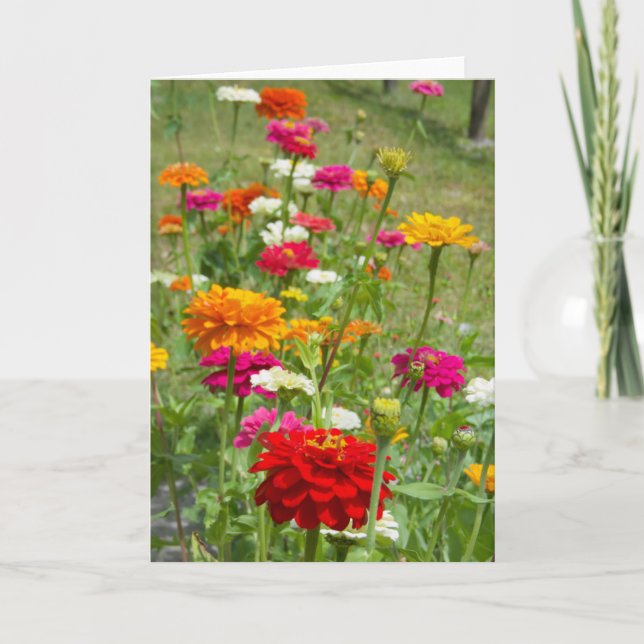 "Zinnias 4." Greeting Card (Front)