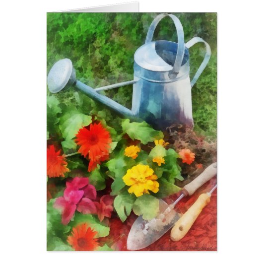 Zinnias and Watering Can (Front)