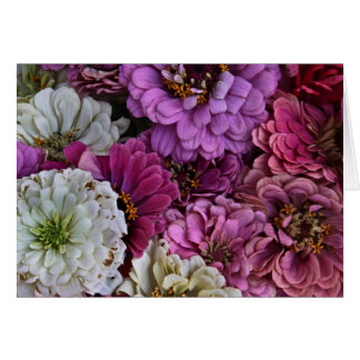 Zinnias Cards