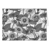 Zinnias, monochome on white (Front Horizontal)