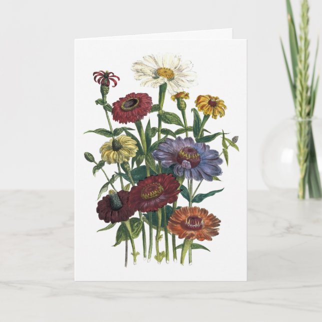 Zinnias Watercolor Get Well Soon Card (Front)