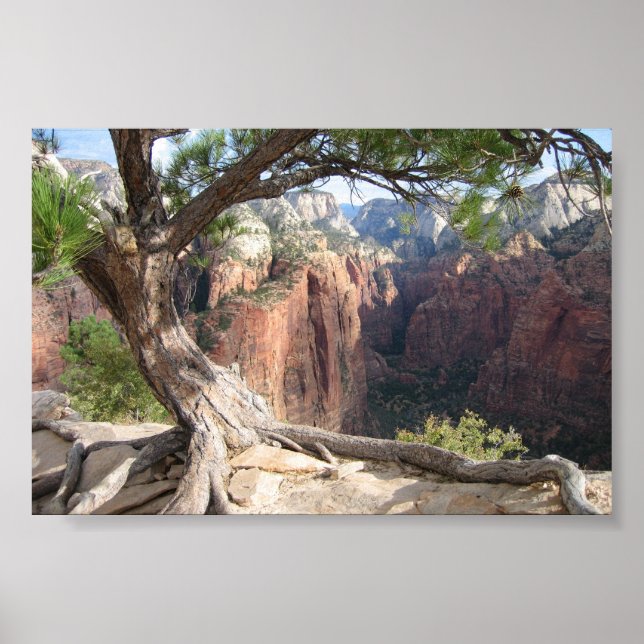 Zion - Angels Landing Poster (Front)