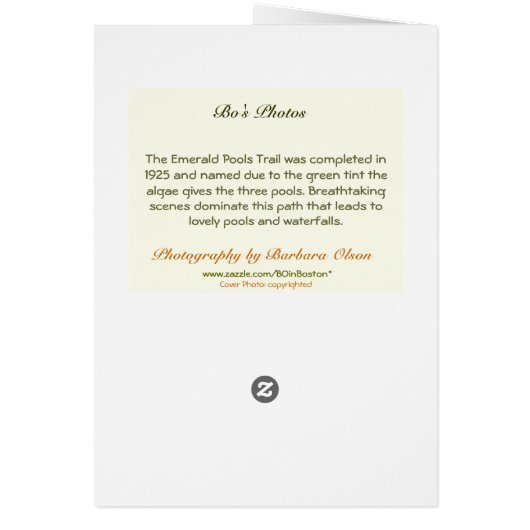 Zion Canyon: Bereavement (Back)