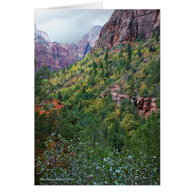 Zion Canyon National Park Cards (Front)