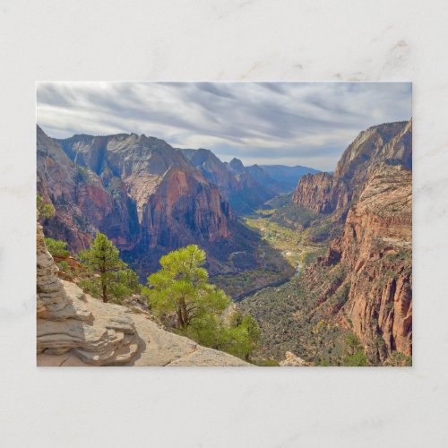 Zion Canyon  Utah Postcard