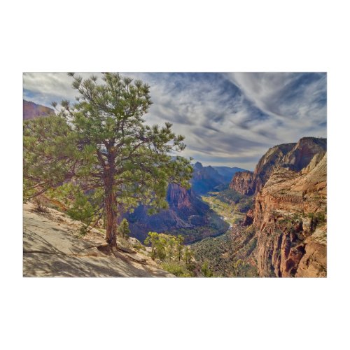 Zion Canyon View from Angels Landing Acrylic Print