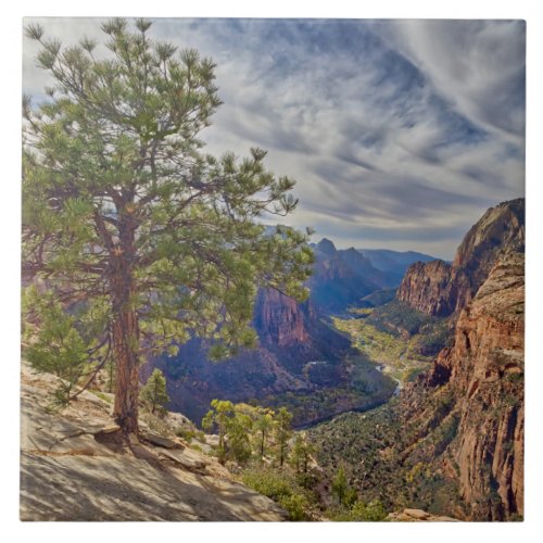Zion Canyon View from Angels Landing Ceramic Tile