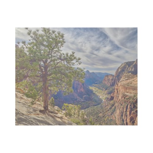 Zion Canyon View from Angels Landing Gallery Wrap