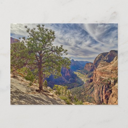 Zion Canyon View from Angels Landing Postcard