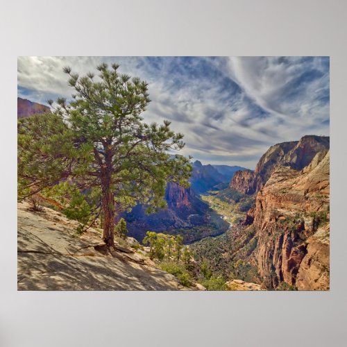 Zion Canyon View from Angels Landing Poster