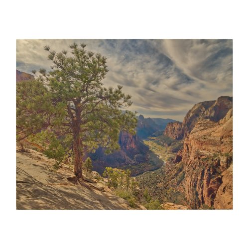 Zion Canyon View from Angels Landing Wood Wall Art