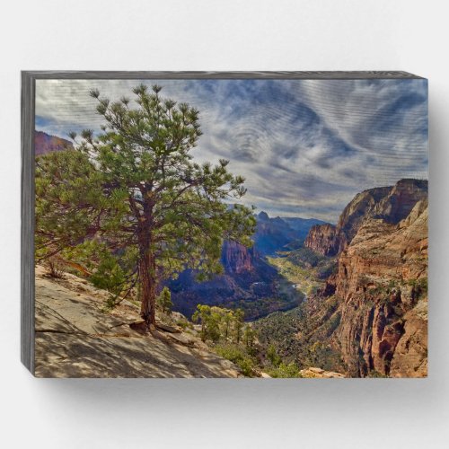 Zion Canyon View from Angels Landing Wooden Box Sign