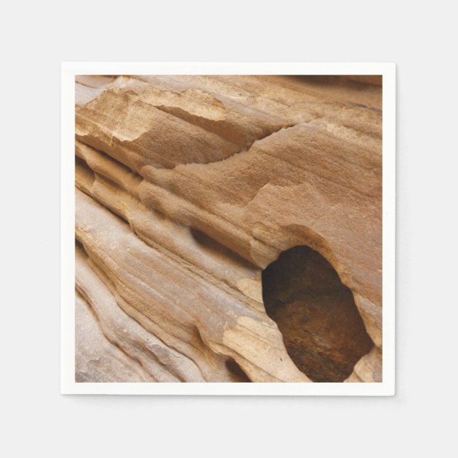 Zion Canyon Wall I Abstract Nature Photography Paper Napkins (Front)