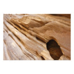 Zion Canyon Wall I Abstract Nature Photography Photo Print