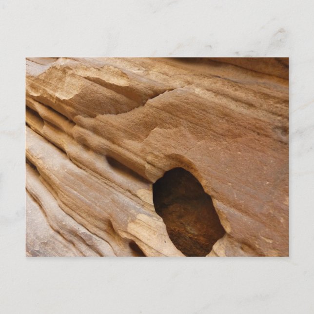 Zion Canyon Wall I Abstract Nature Photography Postcard (Front)