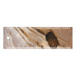 Zion Canyon Wall I Abstract Nature Photography Ruler