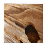 Zion Canyon Wall I Abstract Nature Photography Tile