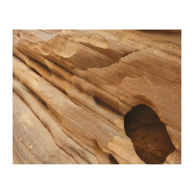 Zion Canyon Wall I Abstract Nature Photography Wood Wall Art (Front)